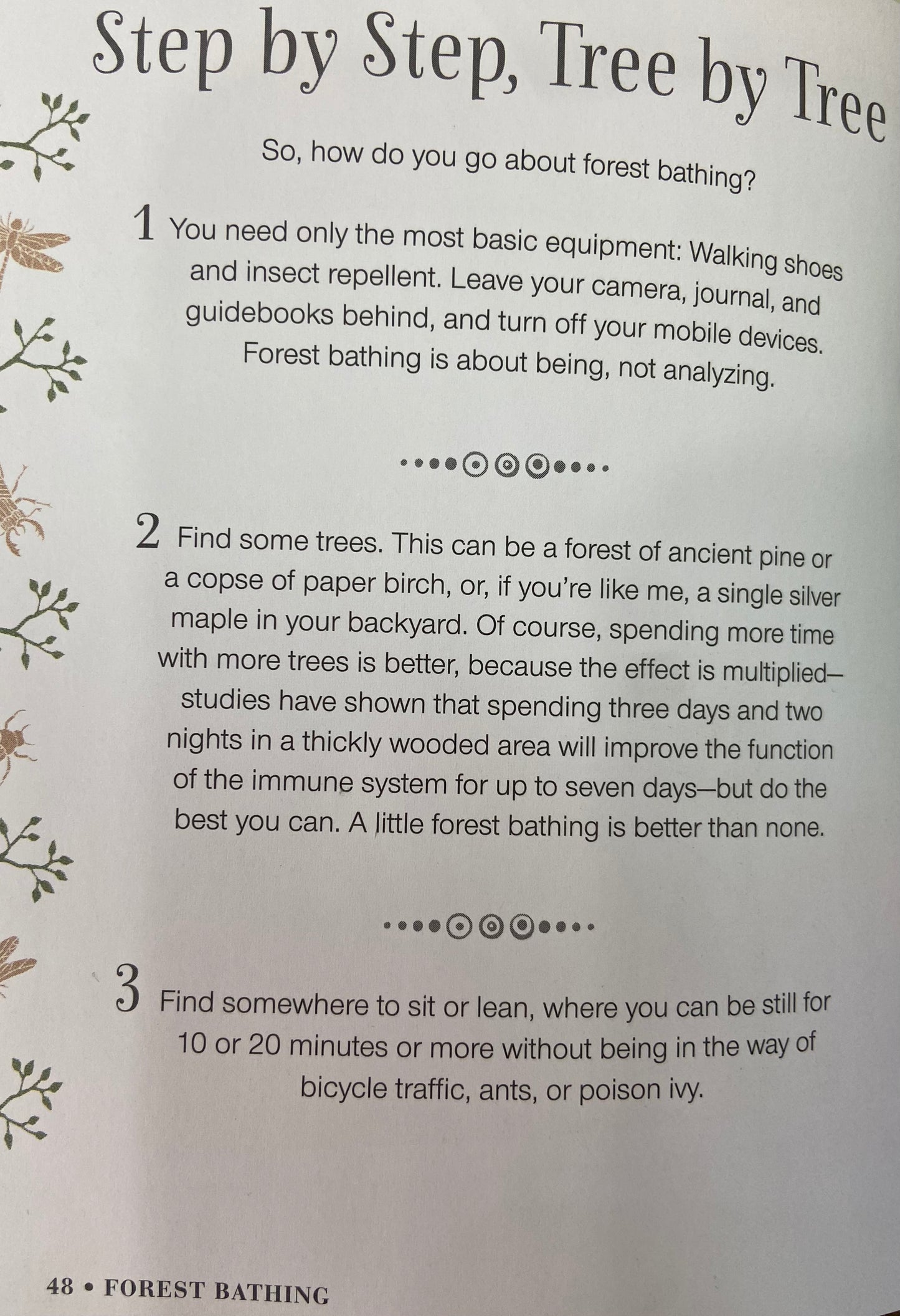 Mindful Walking the secret language of nature