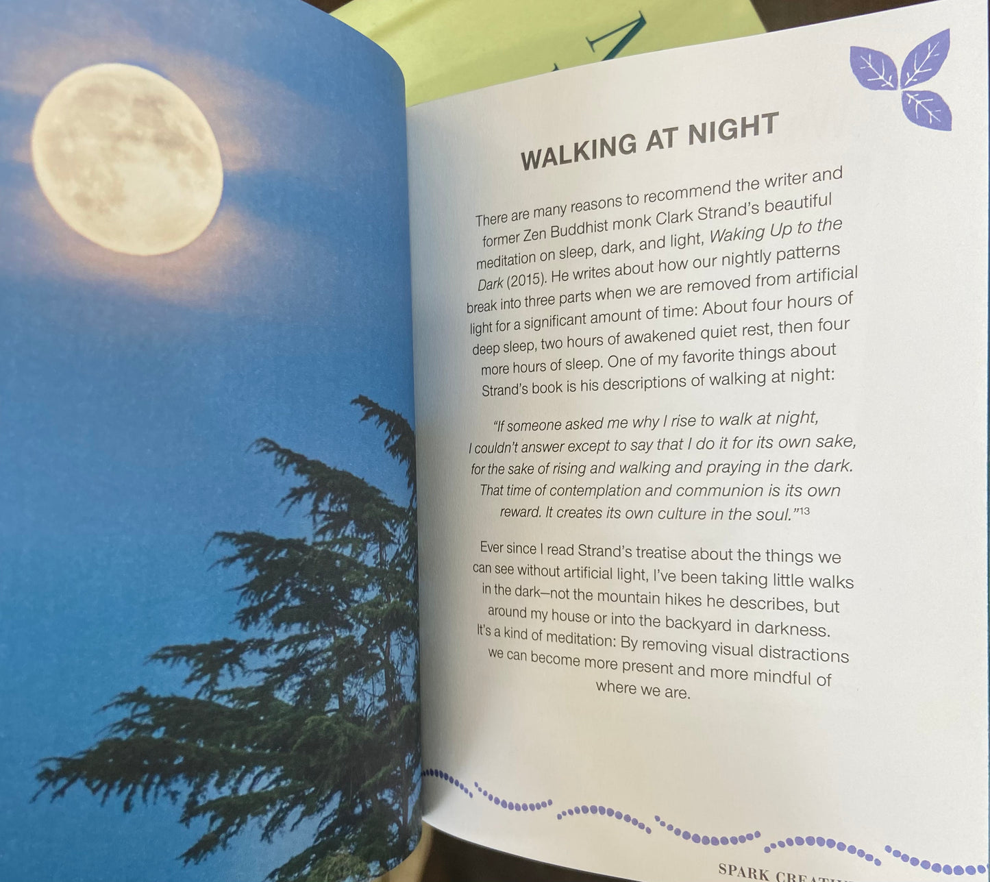 Mindful Walking the secret language of nature