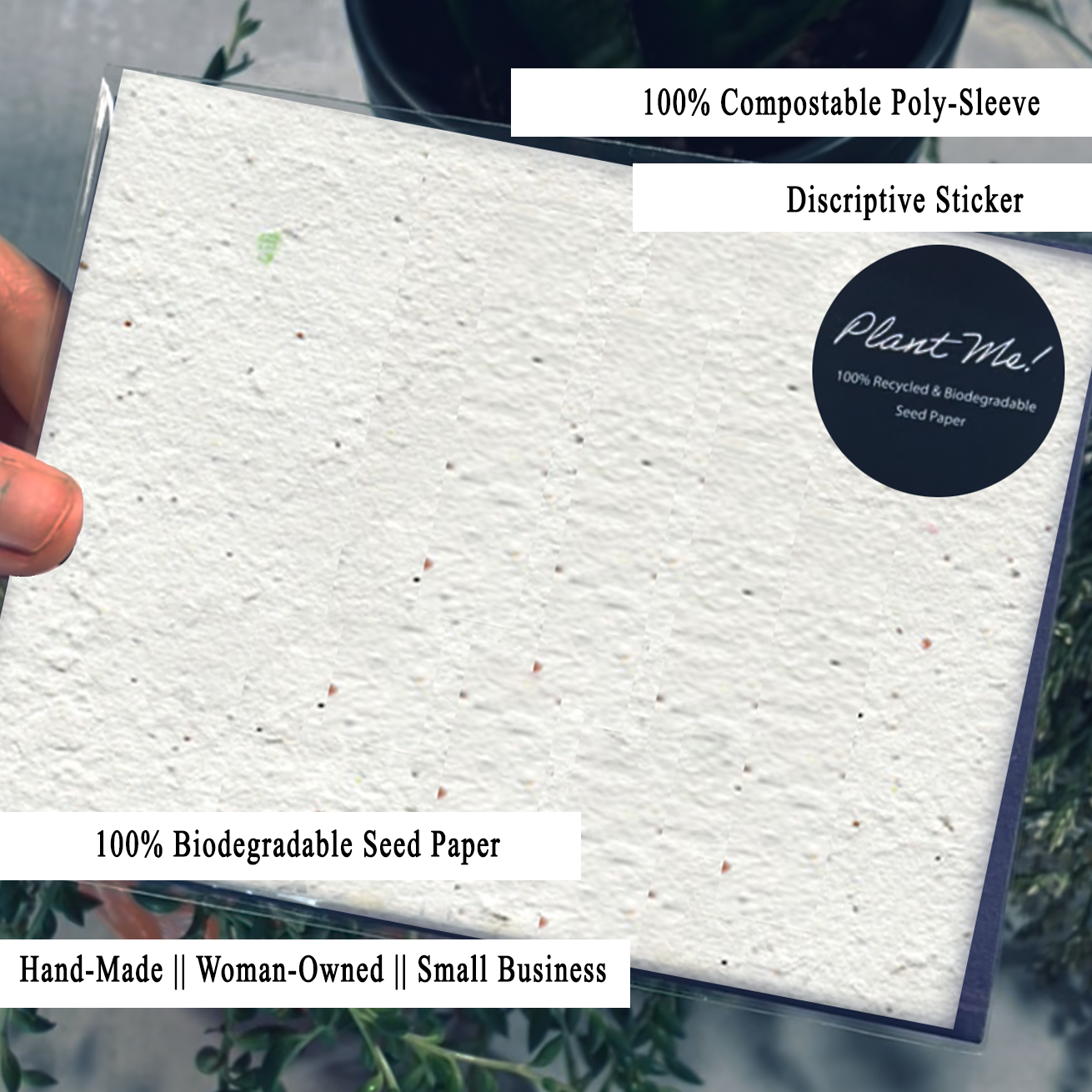 Congrats Grad! Wildflower Seed Paper Greeting Card