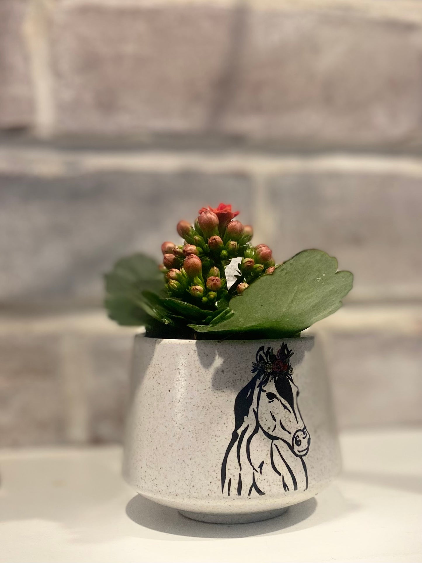 Year of the Horse Inspirational Box