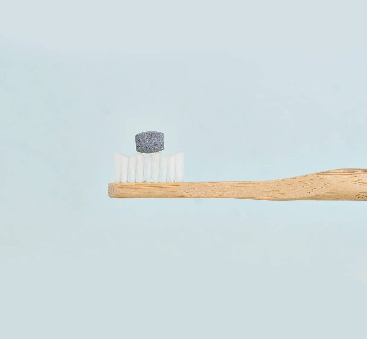 Charcoal Mint Fluoride-Free Toothpaste Tablets